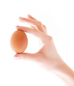 egg-image
